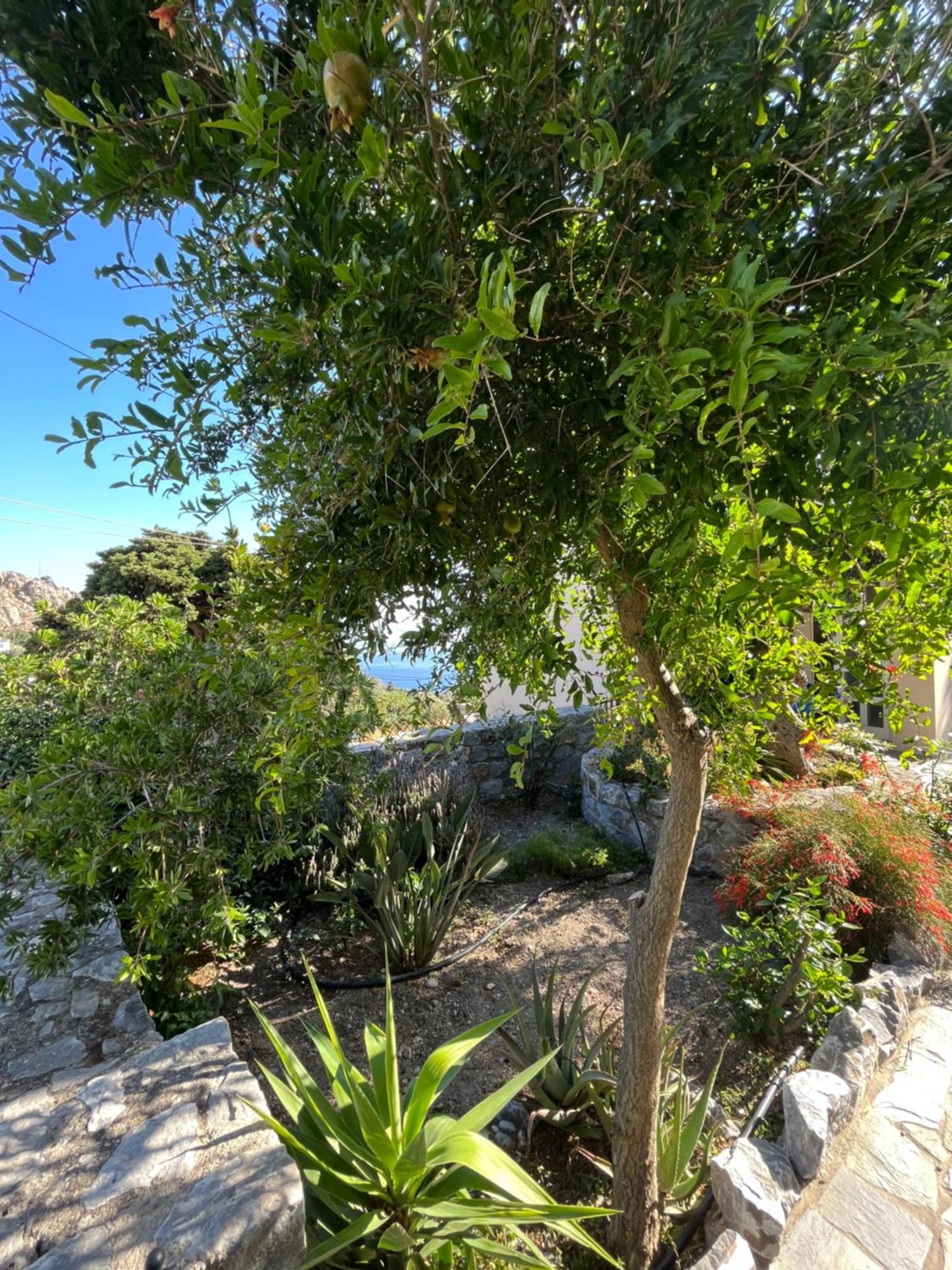 Petasos House - Garden - Sea View Βίλα Σελλία Εξωτερικό φωτογραφία