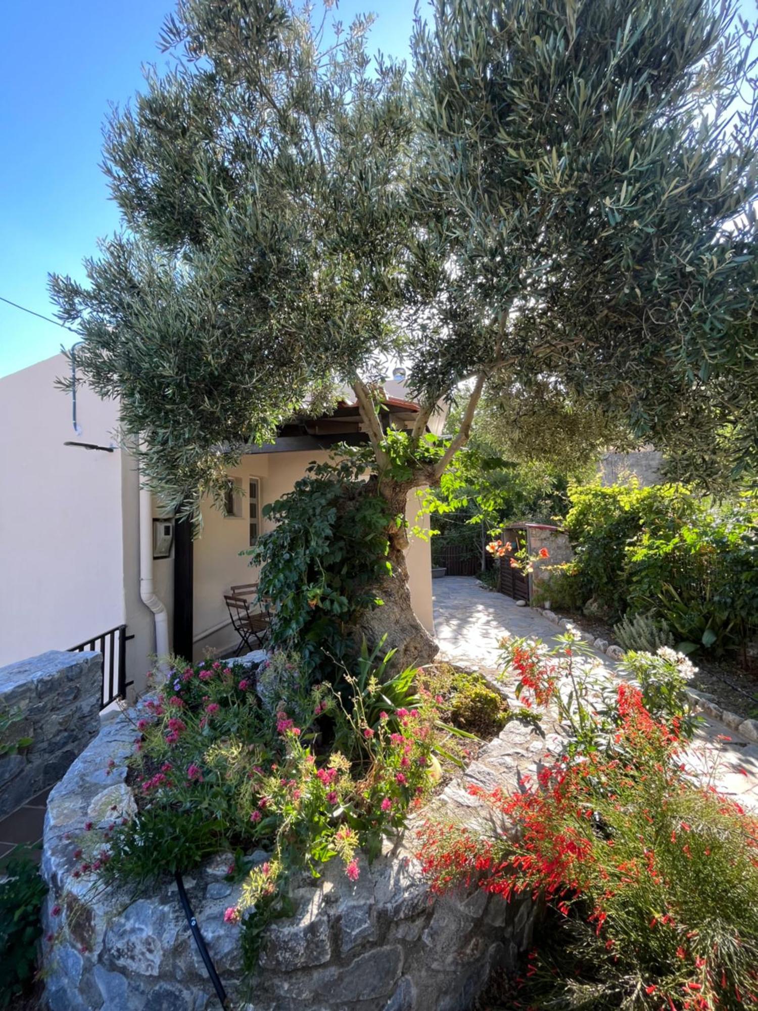 Petasos House - Garden - Sea View Βίλα Σελλία Εξωτερικό φωτογραφία
